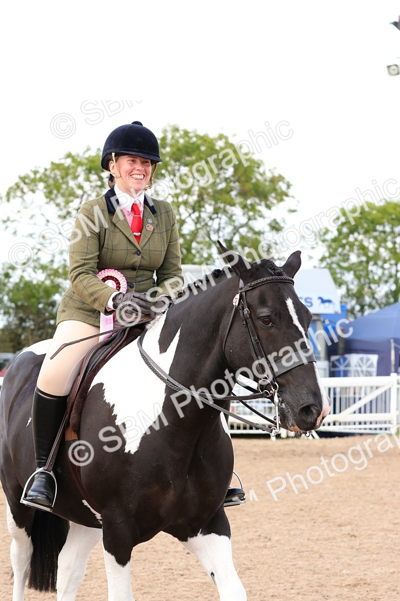 SBM_13577 - Class 212 - Ridden Hunter  - Large