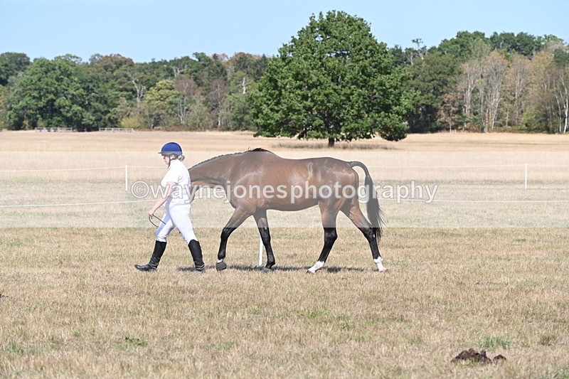 WJ6_9430 - Class 40 Cheekiest Pony/Horse