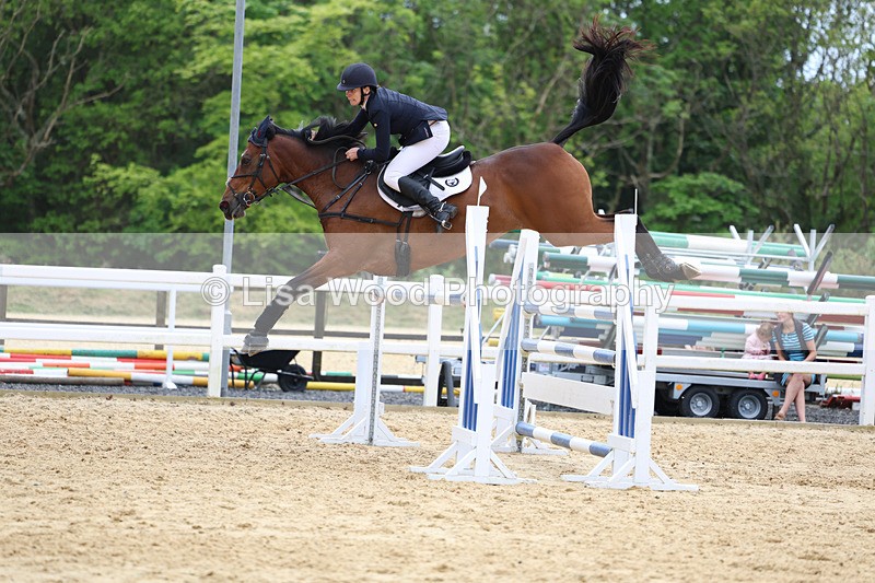 3E7A7627 - Class 8: Senior Foxhunter/1.20 open