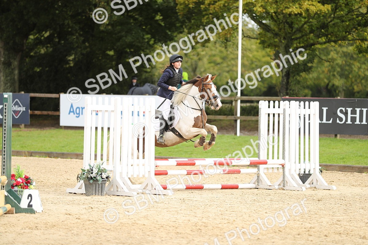 SBM_40452 - J21 - Junior Horse 60cm Championship