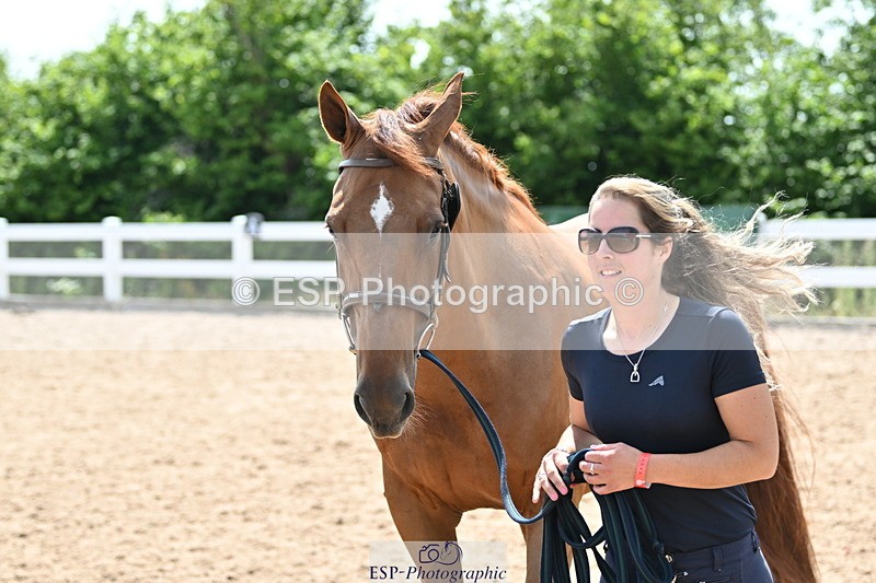 240717A-150023-02428 - Trot Up 3pm to 4pm