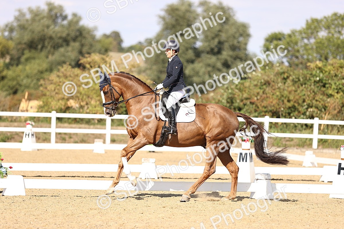 SBM_015247 - Class 8 - Medium 5