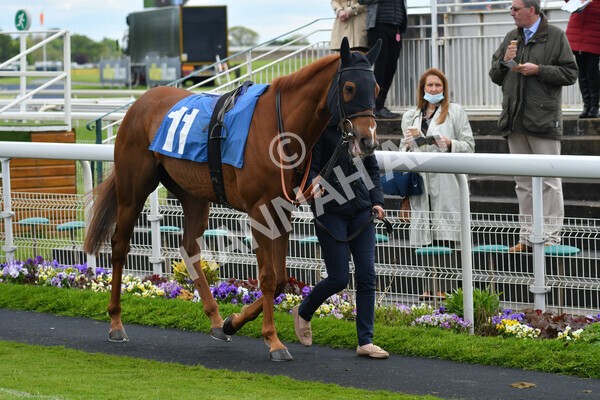 yr22052021r7-1 - Race 7 5.25pm Hudson Quarter York Palace Capital Stakes - Gentleman Amateur Riders Race