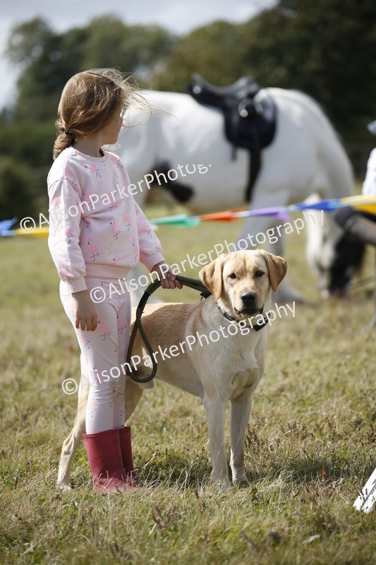 20250831-3776 - Dog Show