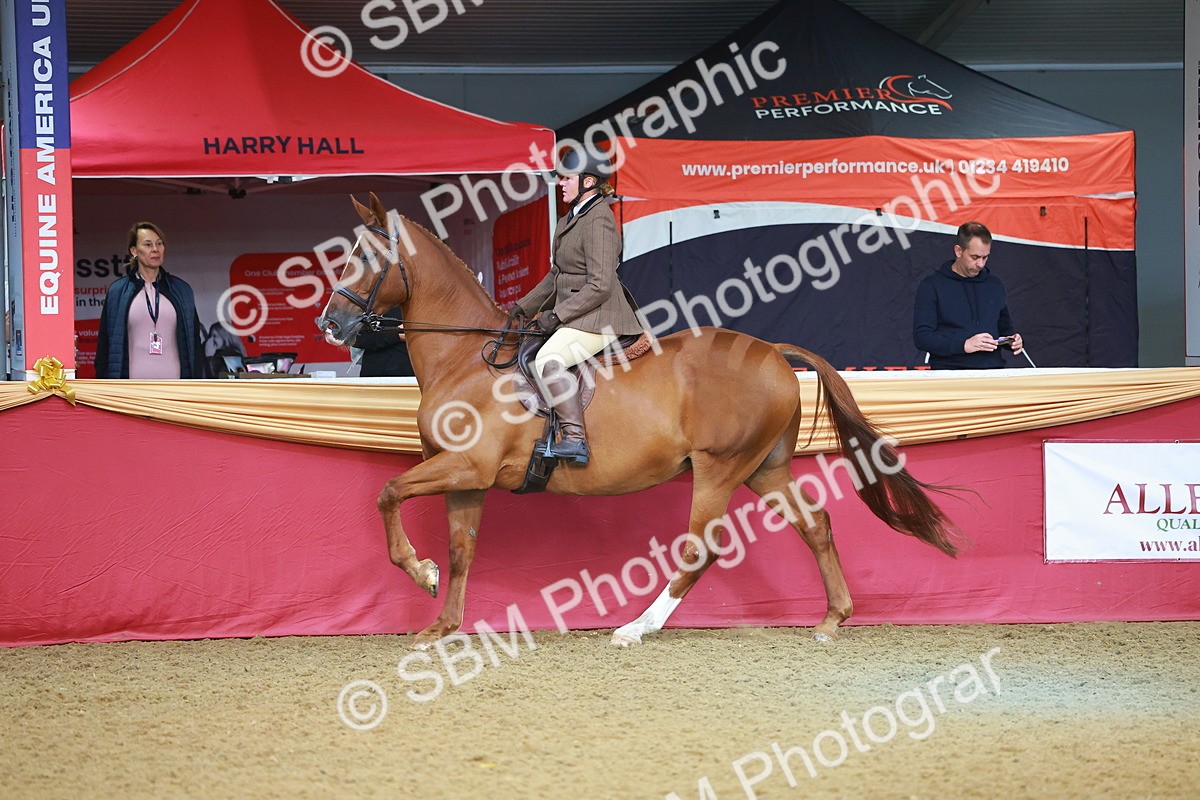SBM_09495 - Class 102 - HOYS Veteran Qualifier - Ridden Veteran