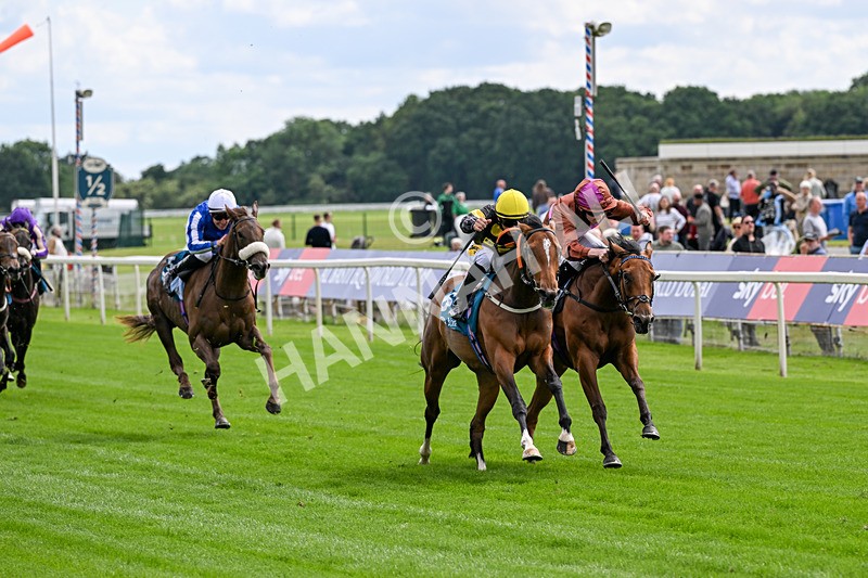 120626-Race 4-Big Negotiator-7510 - Race 4 15.35pm Juddmonte EBF Fillies' Restricted Novice