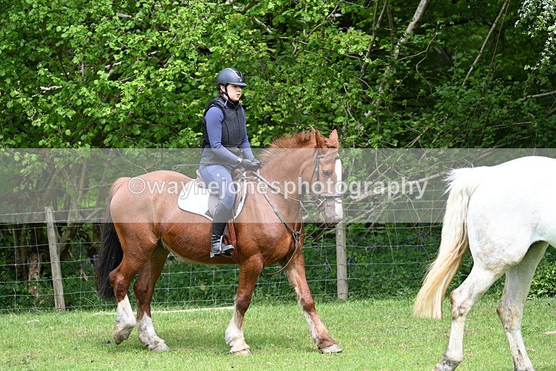 WJ7_2227 - Group 4 A&B Cameras