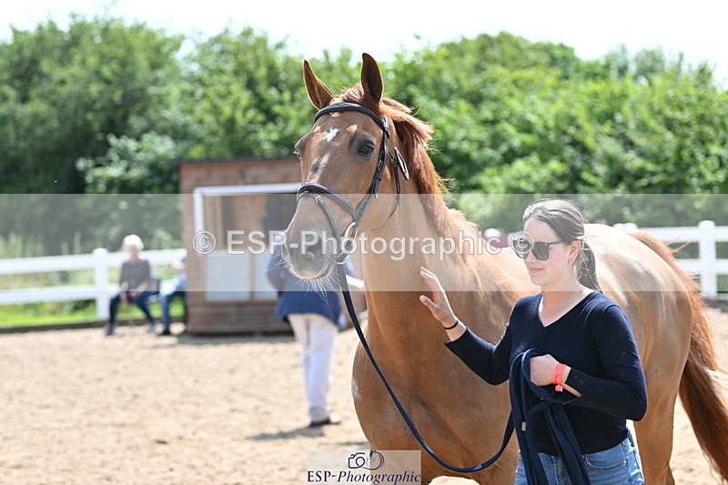 240717A-150706-02559 - Trot Up 3pm to 4pm