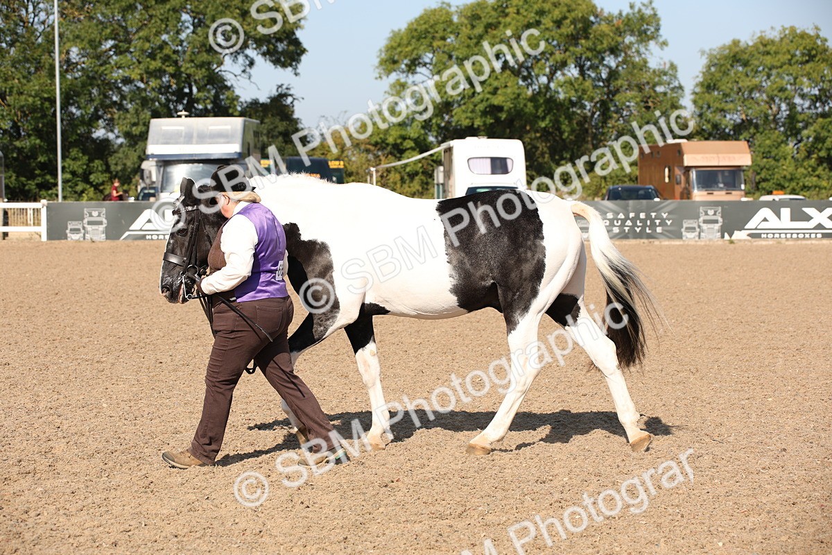 SBM_01502 - Class 15 IH Coloured