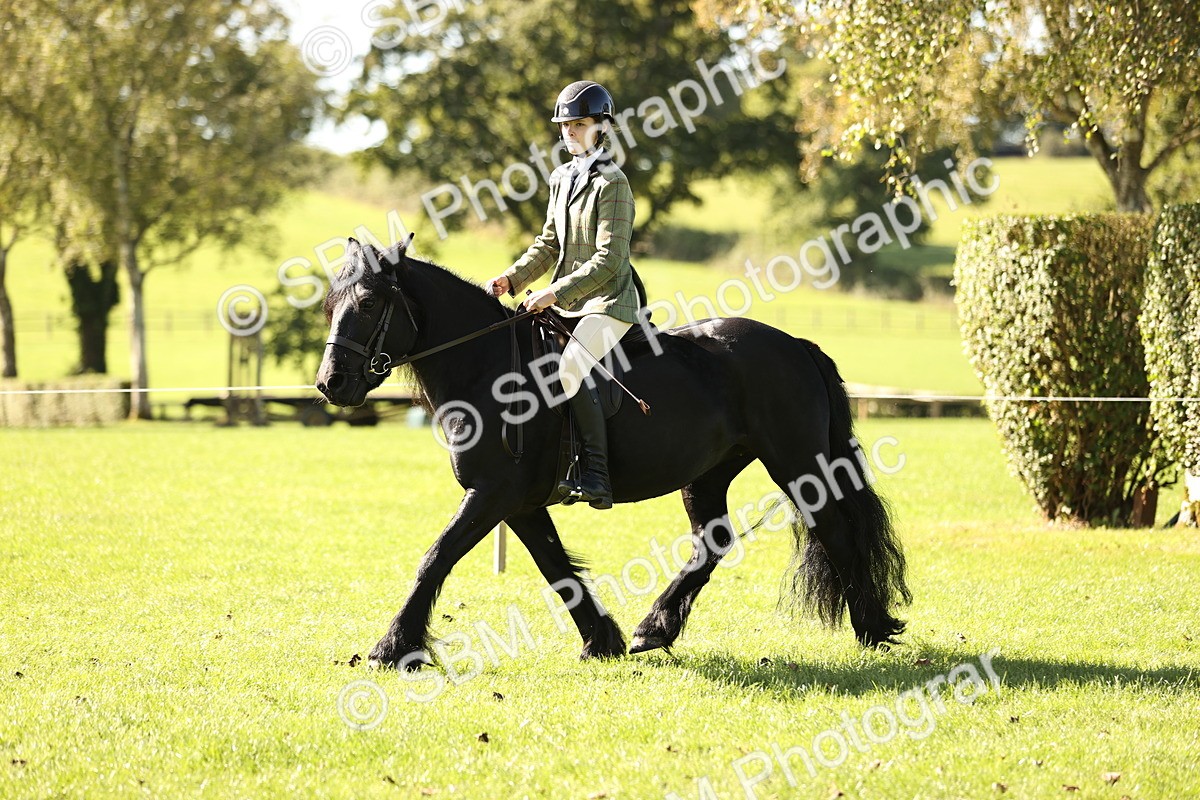 SBM_19086 - S3 - TSR Ridden Pony Showing
