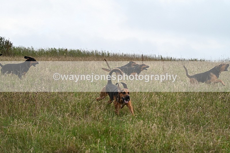 WJ7_9822 - Camera 1 & Last fence