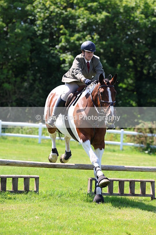 3E7A6873 - Class 30: Novice Working Hunter