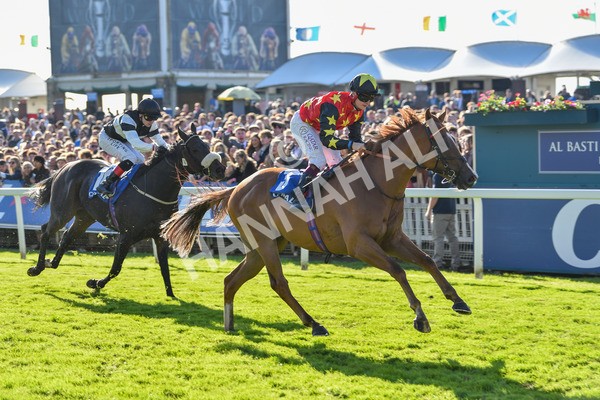 141023-Race 3-Montassib-0996 - Race 3 2.25pm Coral Sprint Trophy Handicap