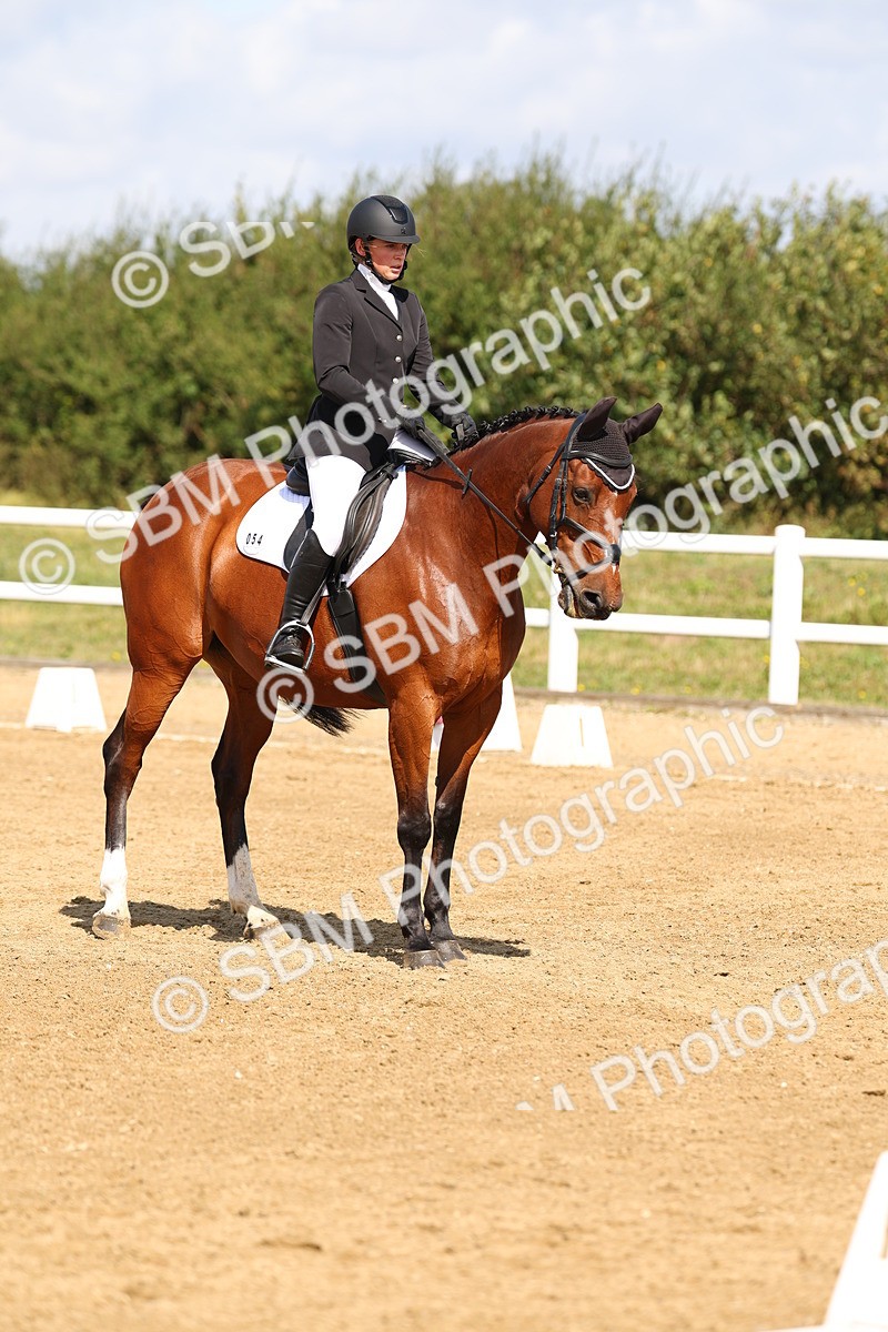 SBM_011717 - Class 1 - Prelim 19 - 10.50-11.46