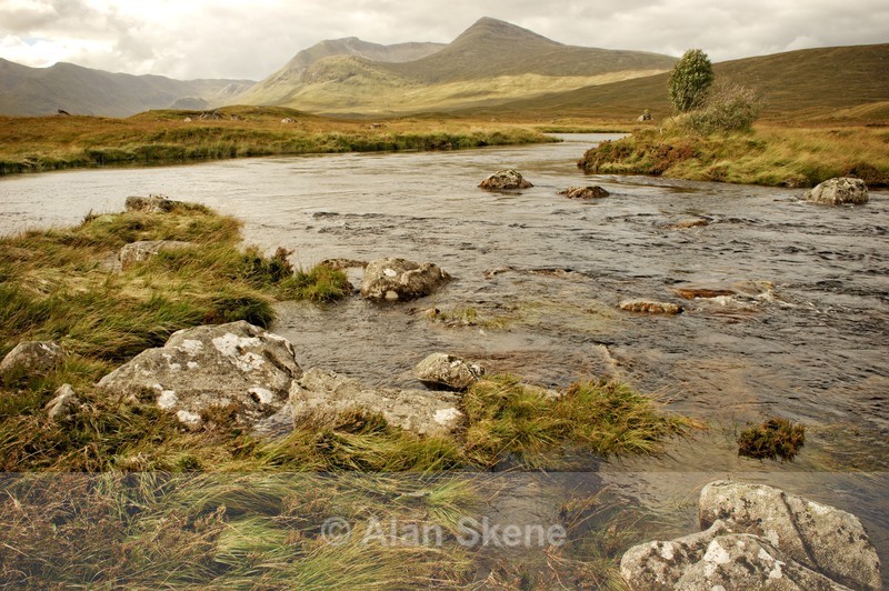 DSC01056 - Scottish scenes
