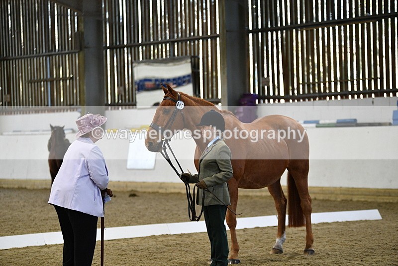 WJ5_3608 - Class 5 In Hand Veterans