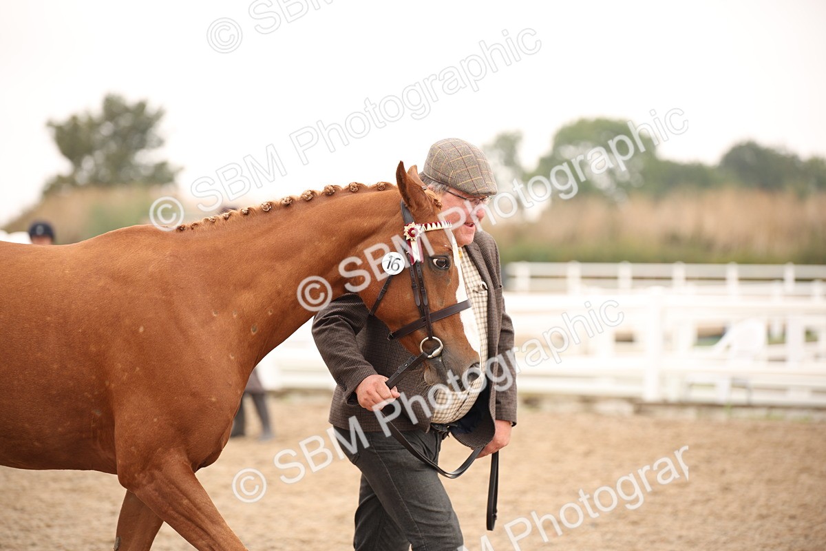 SBM_22143 - Class 707 - Ridden Groom-Helpers Class