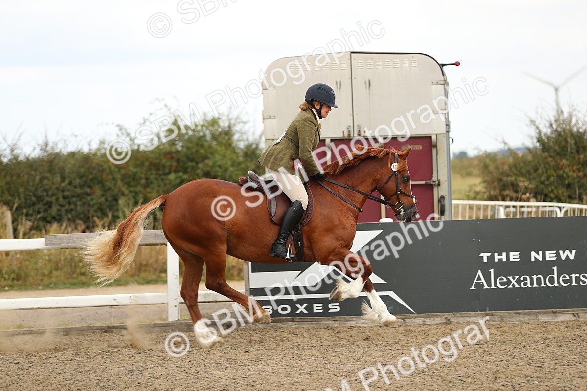 SBM_04896 - Class 47a Style & Performance 60cm (15-19)