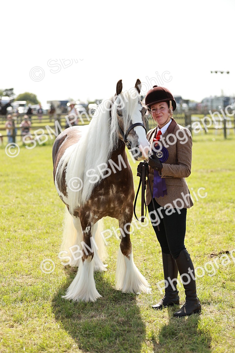 SBM_08947 - Class 63-65 - Traditional Gypsy Cobs In Hand & Ridden