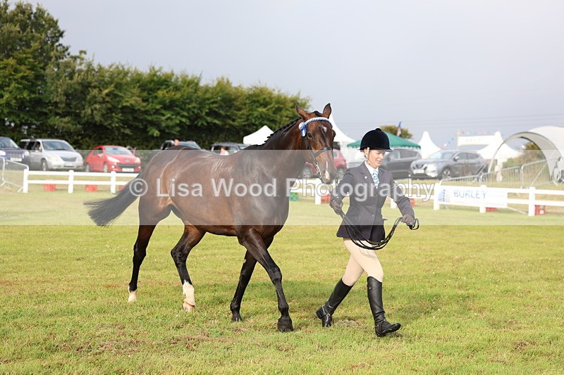 3E7A7867 - Class 1: Rising Star Small Hack/Riding Horses