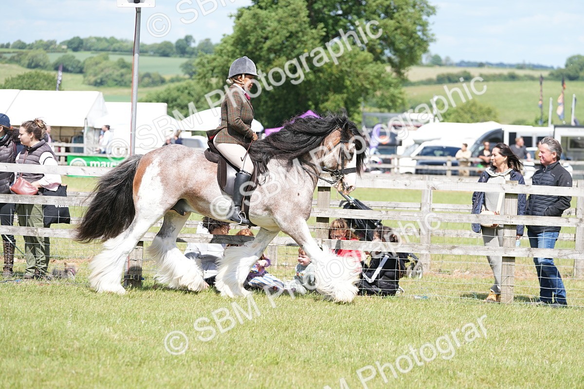 SBM_17107 - Class 107-108 - LIHS BSPS Performance Coloured Horse Pony