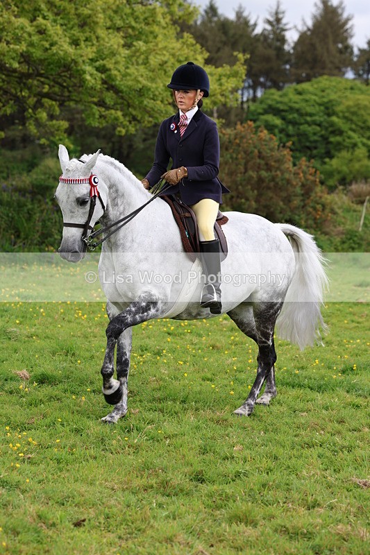 3E7A2099 - Class 11: Ridden Arab