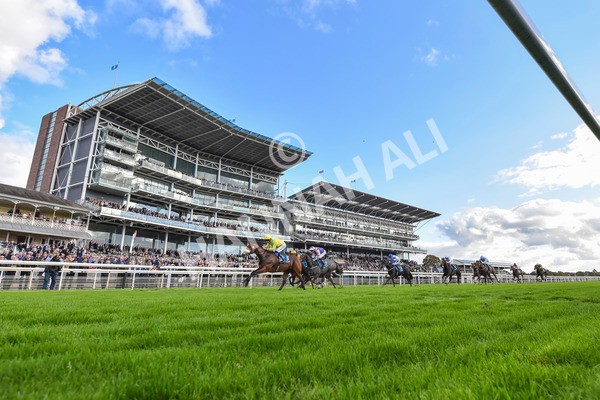 111024-Race 4-End Of Story-8029 - Race 4 3.10pm Parsonage Hotel And Cloisters Spa Nursery Handicap