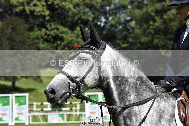 230712-110636-22172 - Cls 50 Foxhunter & 1.20m Open