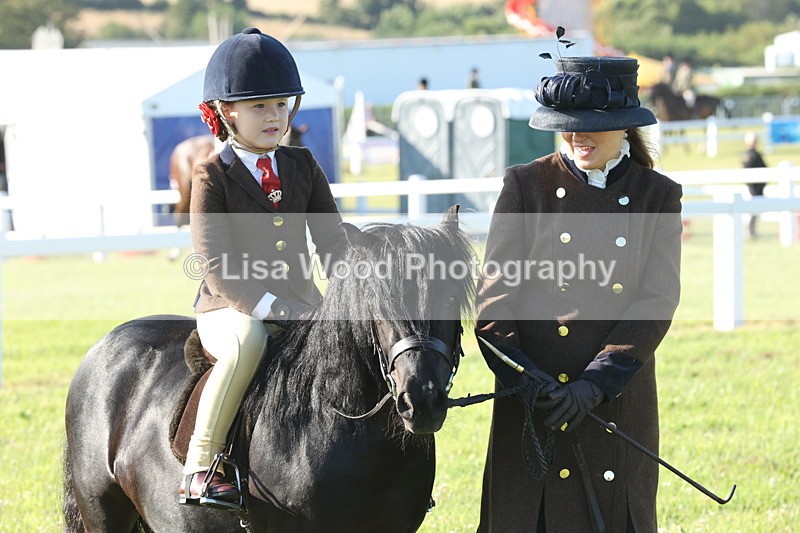 JPP_0720 - Class 16: Cornish Combination Leading Rein