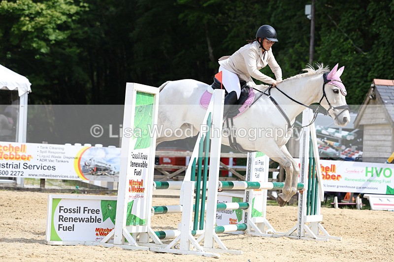 3E7A8799 - Class 4: Senior British Novice/90cm open