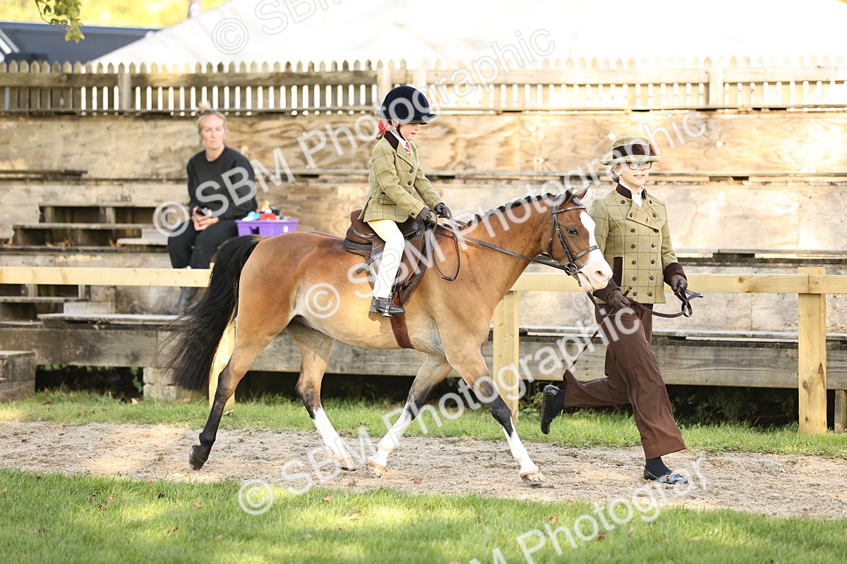 SBM_29369 - S7 - Novice & Newcomers Ridden Pony