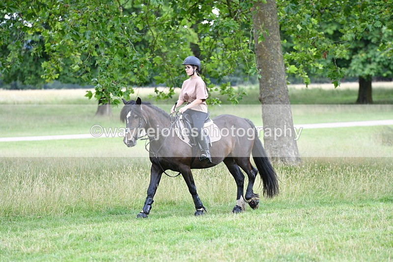 WJ5_1849 - Time at Jump 13:04 to 14:02