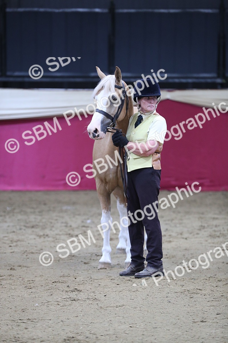 SBM_06392 - Class 9R Regional- IH Pre Vet