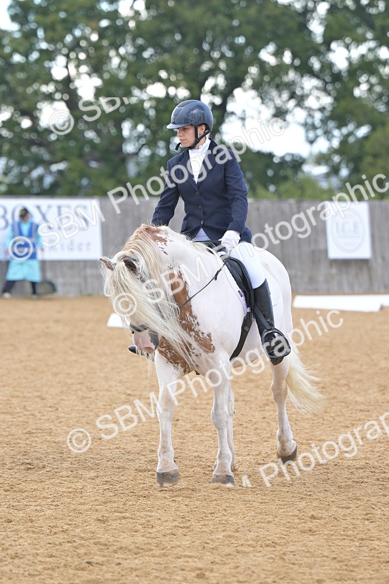 SBM_11209 - D3 - Small Tour Championship Intro 3