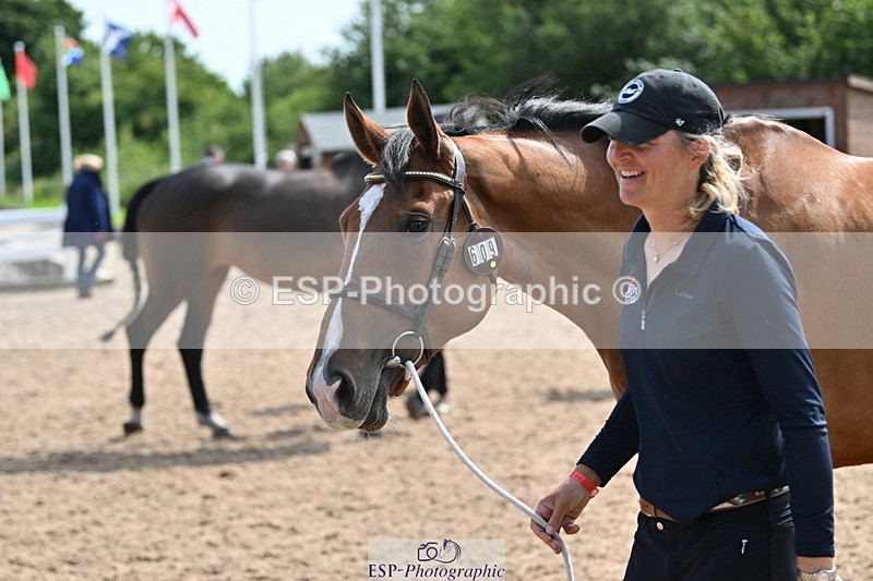 240717A-160300-03296 - Trot Up 4pm to 5pm