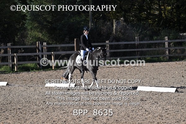 BPP_8635 - LONG ARENA
