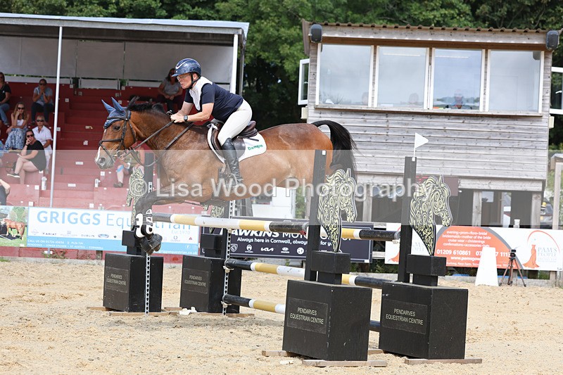 3E7A1902 - Class 9: Senior Foxhunter/1.20 open