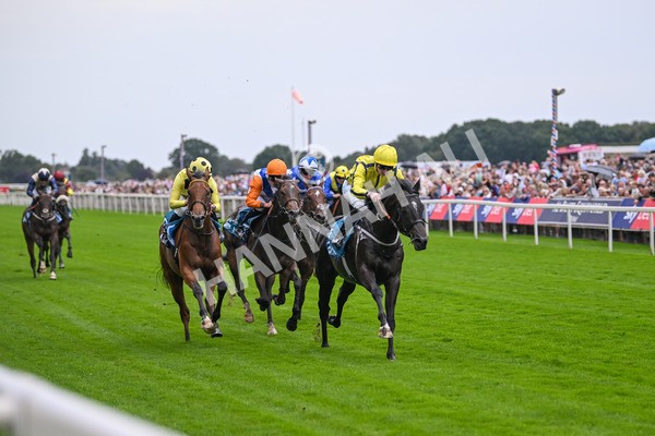 080925-Race 1-Proud Nation-7167 - Race 1 2.30pm Enter ITV7 For Free Confined EBF Maiden Stakes