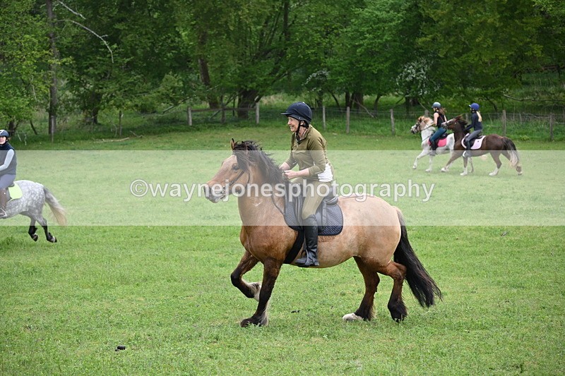 WJ6_3354 - A camera