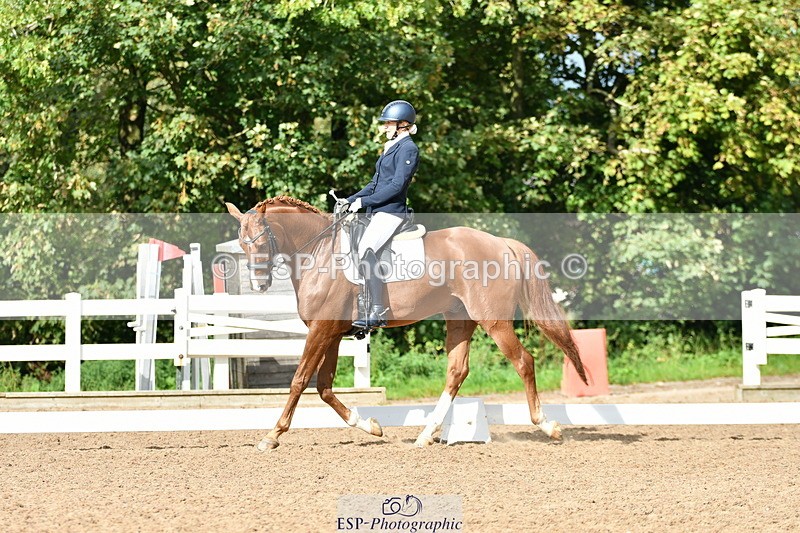 230912A-152022-01544 - Cls 13 Adv Medium 91