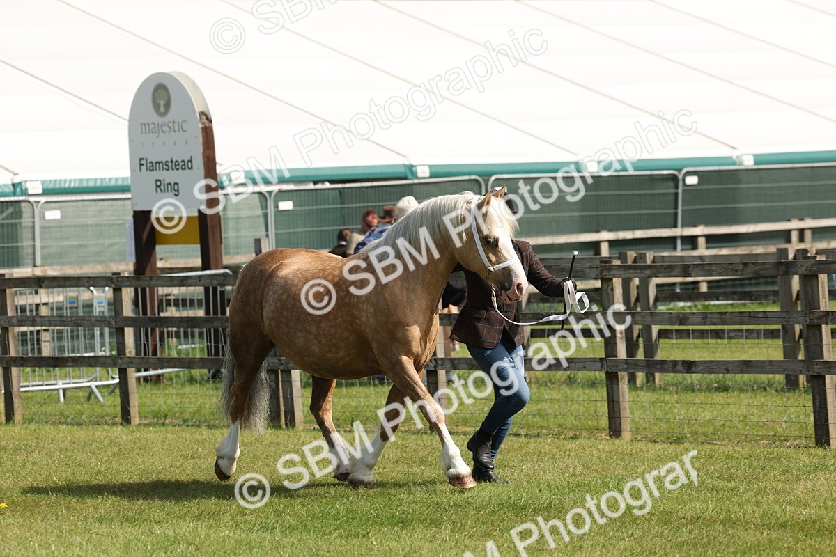 SBM_02047