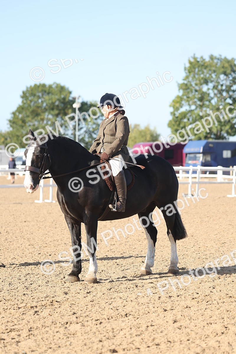 SBM_22182 - Class 802 - Ridden Groom Helpers Class