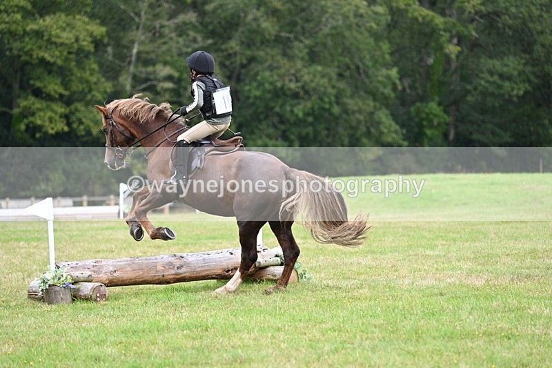 WJ7_7487 - 40cm Time 10:27 to 10:47