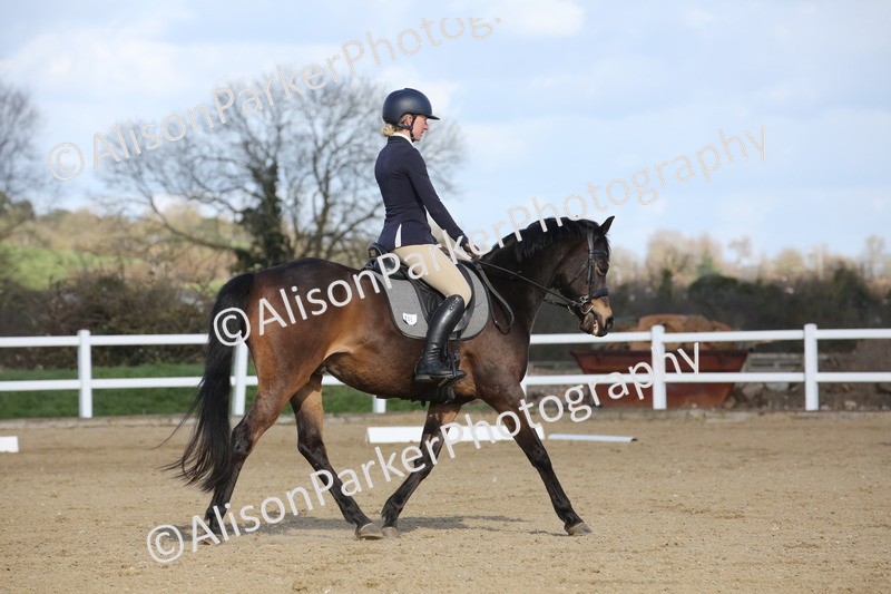 20260314-4231 - DR5 - Novice 1