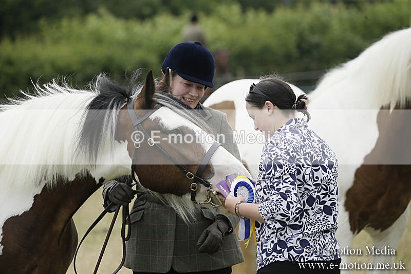 B230619-0701 - Bourne Valley Riding Club Summer Show 23/06/19