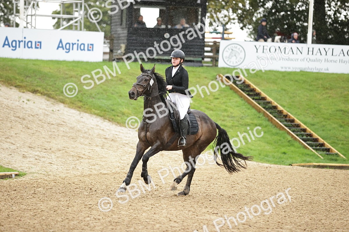 SBM_33150 - J38 - Senior Horse & Pony 80cm Championship