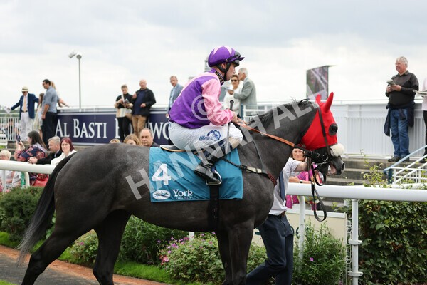 yr04092022r2-1 - Race 2 2.20pm John and Judith Marshall Memorial Stakes