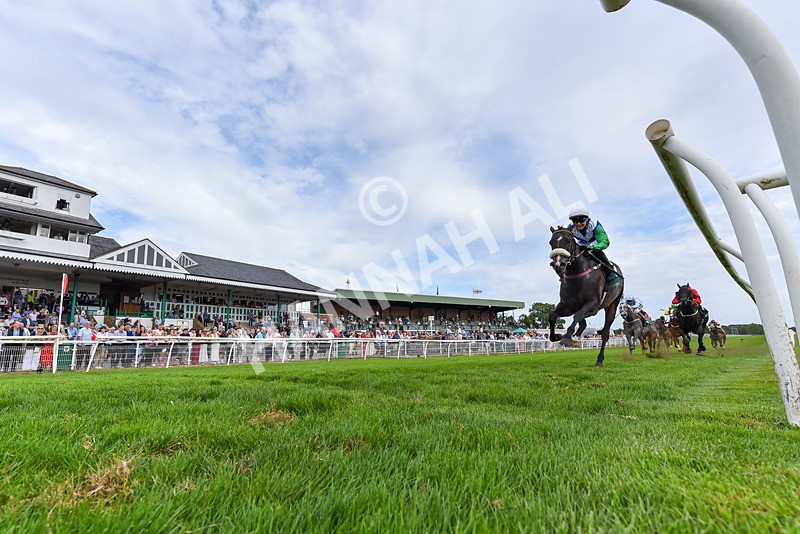 260826-Race 5-Novamay-6436 - Race 5 16:15 Oops A Daisy Handicap