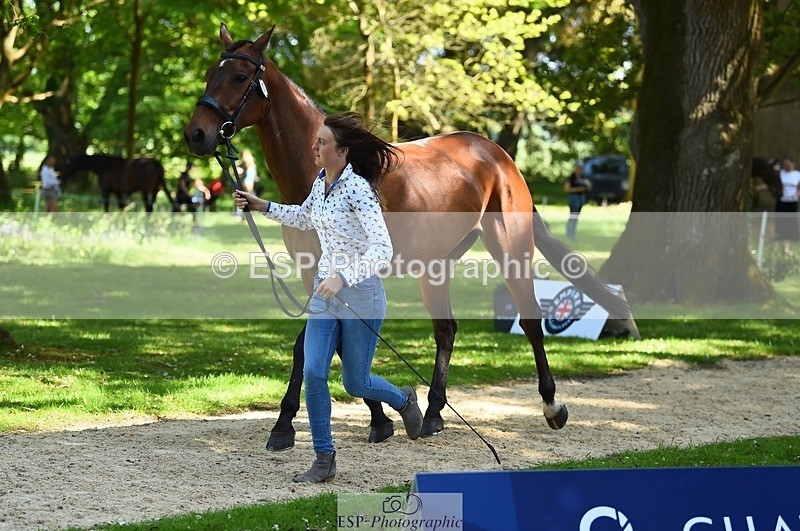 230524-153050-00319 - 373-BENGAL_LORE-Pippa_Taylor-WEDTrotUp+DR