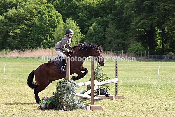 IMG_4270 - Working Hunter